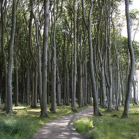 Ostsee Elfe أوستسيباد نينهاجن