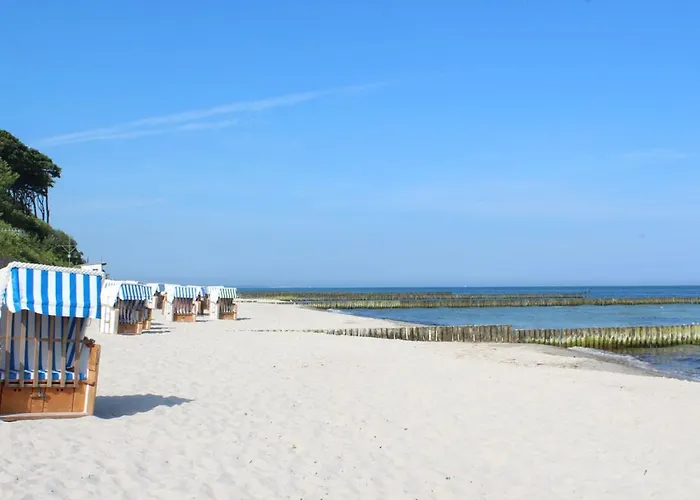 Ostsee Elfe